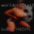 Buddy 74820